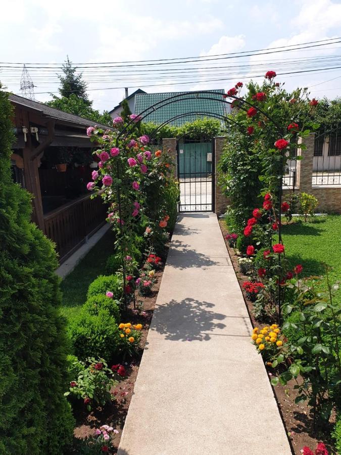 Vila Yna Navodari Dış mekan fotoğraf